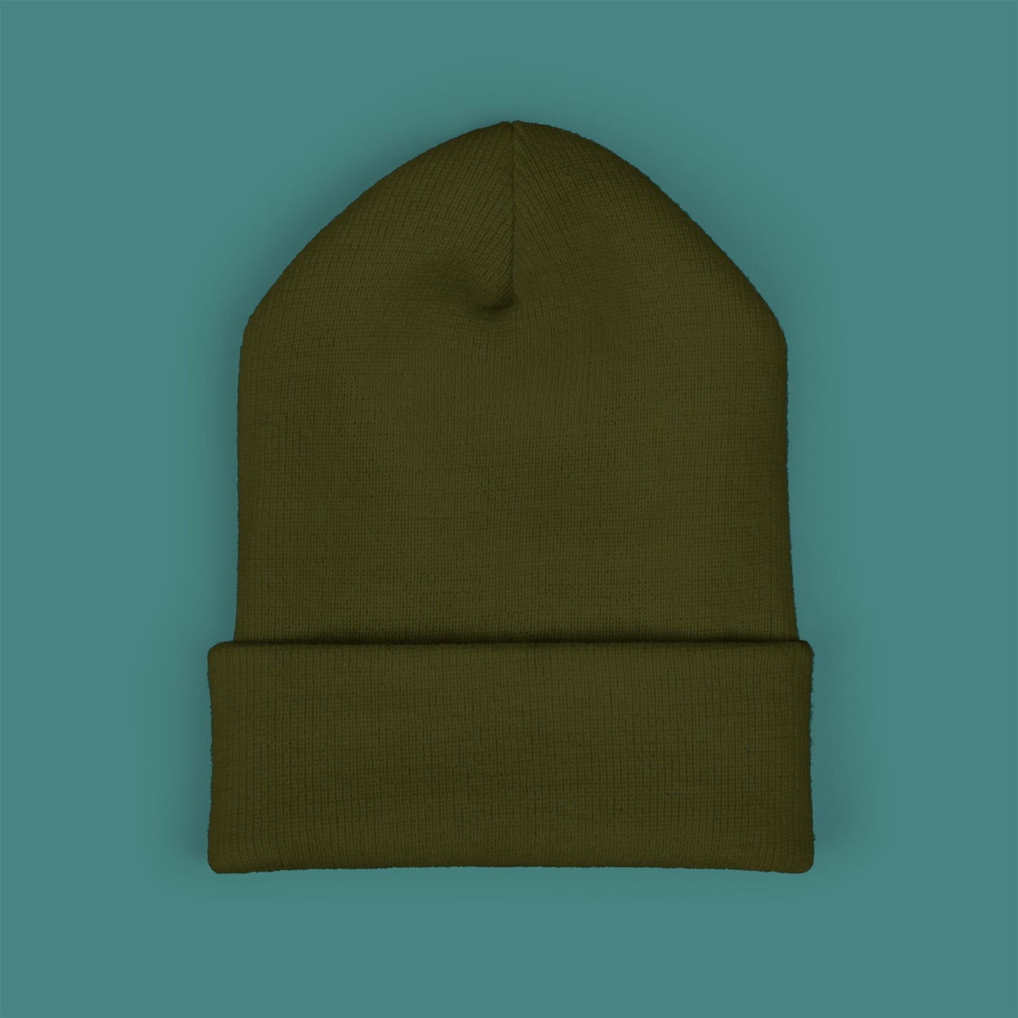 Geometric Polygon Turtle Embroidered Beanie