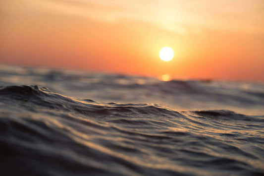 10 Ocean Facts That Will Change the Way You See the Sea